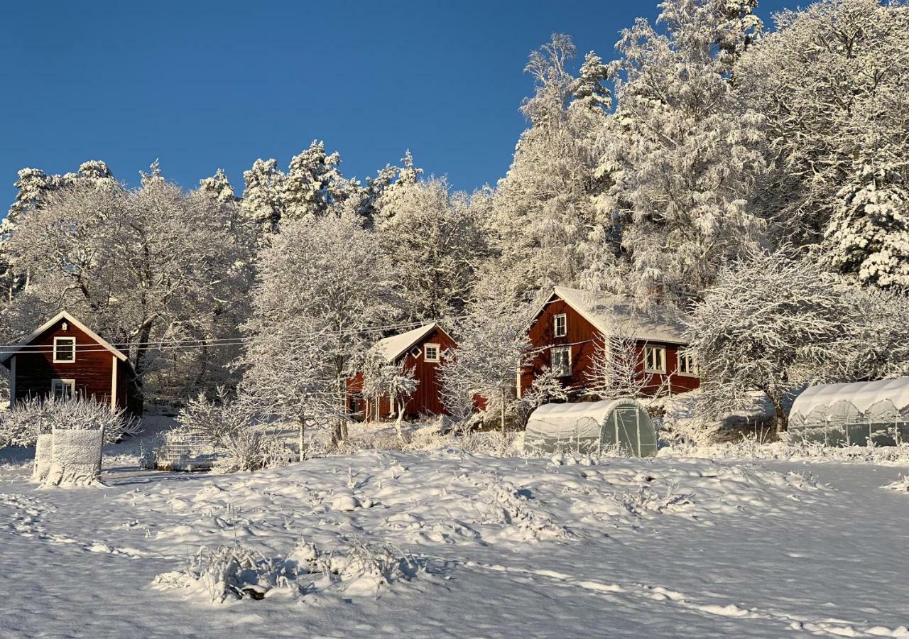 18Th Century Farm Cottage Valdemarsvik Extérieur photo